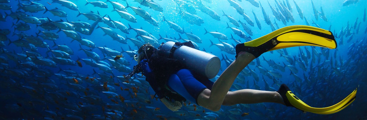  Explore the beauty of Red Sea with us 