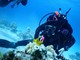 PADI Open Water  diver's photo