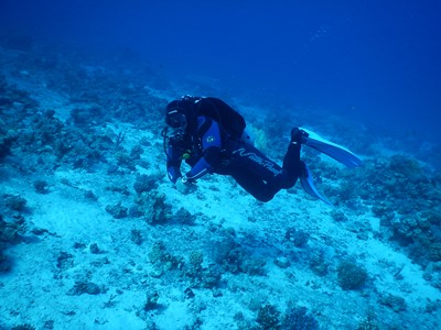 PADI Divemaster Course In Hurghada's photo