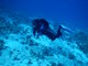 PADI Divemaster Course In Hurghada's photo